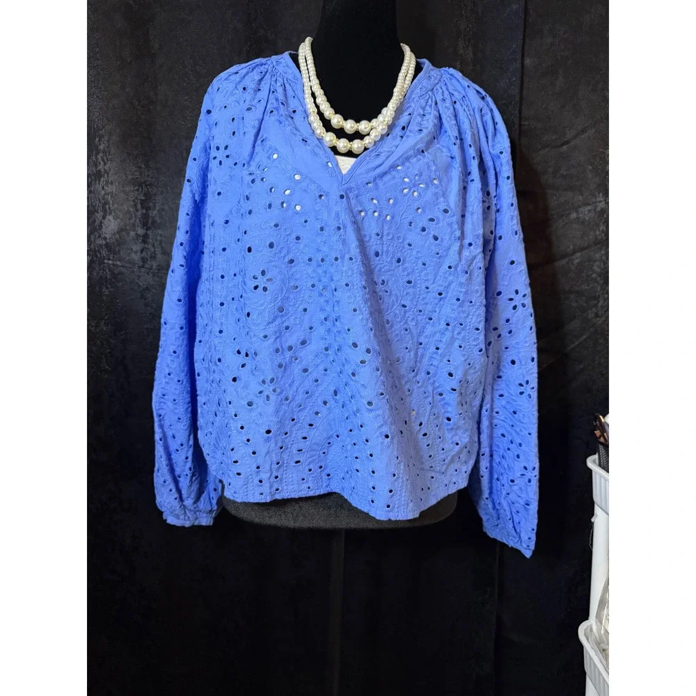 H&M Blue Eyelet Cotton V-Neck Blouse Long Sleeve Embroidered Top